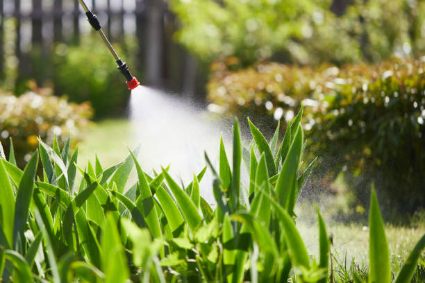 24/7 Emergency Mosquito Control experts in Prineville, OR